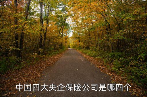 中國(guó)四大央企保險(xiǎn)公司是哪四個(gè)
