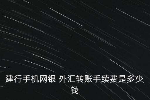 建行手機(jī)網(wǎng)銀 外匯轉(zhuǎn)賬手續(xù)費(fèi)是多少錢(qián)