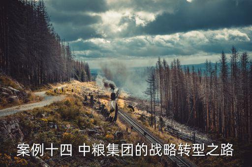 案例十四 中糧集團的戰(zhàn)略轉(zhuǎn)型之路