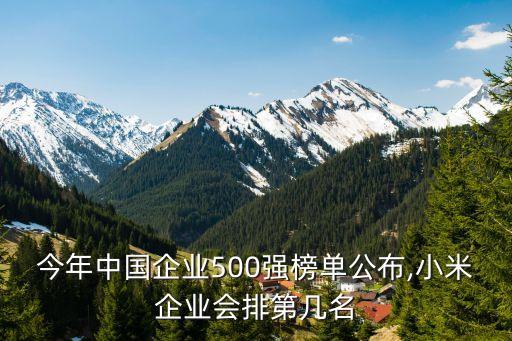 今年中國企業(yè)500強(qiáng)榜單公布,小米企業(yè)會排第幾名