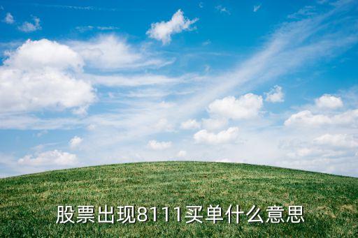 股票出現8111買單什么意思