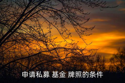 申請私募 基金 牌照的條件