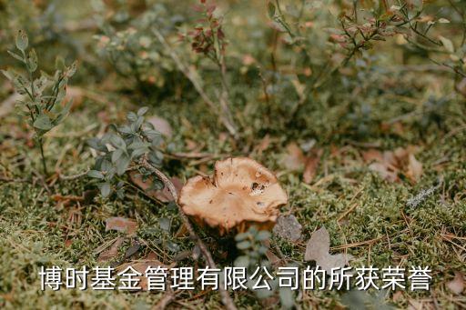  博時基金管理有限公司的所獲榮譽(yù)