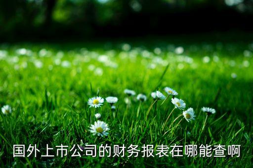 國(guó)外上市公司的財(cái)務(wù)報(bào)表在哪能查啊