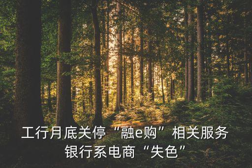  工行月底關(guān)停“融e購”相關(guān)服務(wù) 銀行系電商“失色”