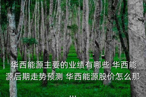  華西能源主要的業(yè)績有哪些 華西能源后期走勢預(yù)測 華西能源股價怎么那...