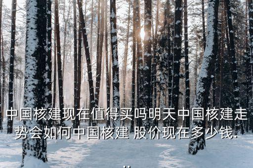 中國(guó)核建現(xiàn)在值得買(mǎi)嗎明天中國(guó)核建走勢(shì)會(huì)如何中國(guó)核建 股價(jià)現(xiàn)在多少錢(qián)...