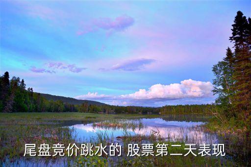 尾盤競價(jià)跳水的 股票第二天表現(xiàn)