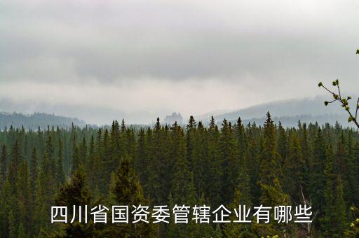  四川省國資委管轄企業(yè)有哪些