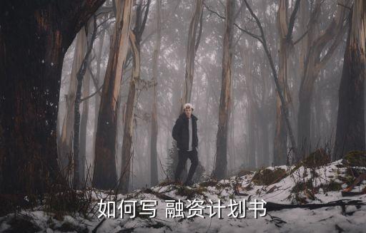 如何寫 融資計劃書