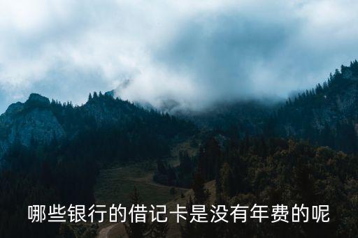 哪些銀行的借記卡是沒有年費(fèi)的呢