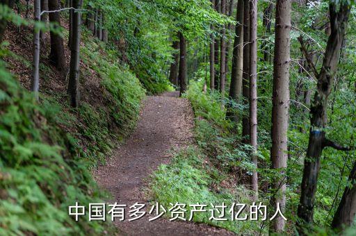 中國有多少資產(chǎn)過億的人