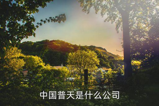 中國(guó)普天是什么公司