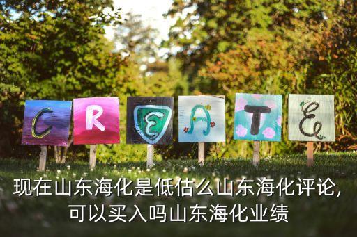 現(xiàn)在山東?；堑凸烂瓷綎|?；u論,可以買入嗎山東?；瘶I(yè)績