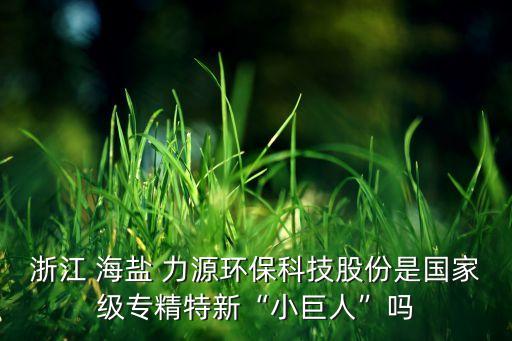 浙江 海鹽 力源環(huán)?？萍脊煞菔菄?guó)家級(jí)專精特新“小巨人”嗎