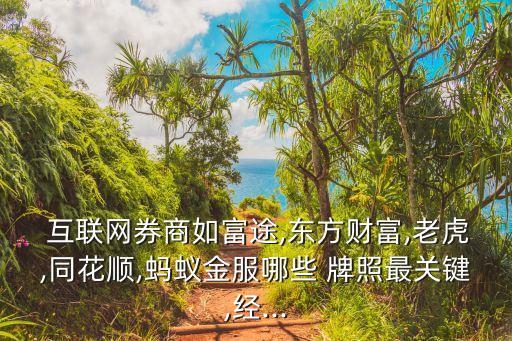  互聯(lián)網(wǎng)券商如富途,東方財富,老虎,同花順,螞蟻金服哪些 牌照最關(guān)鍵,經(jīng)...