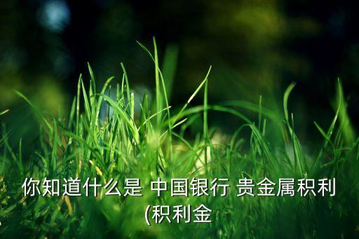 你知道什么是 中國(guó)銀行 貴金屬積利(積利金