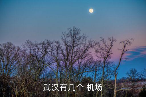 武漢有幾個(gè) 機(jī)場