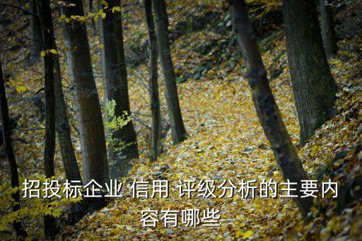 招投標(biāo)企業(yè) 信用 評(píng)級(jí)分析的主要內(nèi)容有哪些
