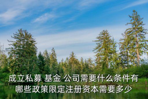 房地產(chǎn)基金公司設立的問題,中國房地產(chǎn)基金公司