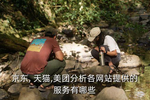 京東, 天貓,美團分析各網站提供的服務有哪些