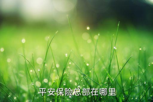  平安保險總部在哪里