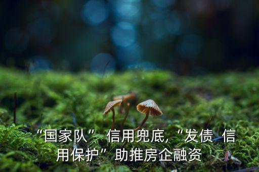 中化集團信用評級報告,紅豆集團信用評級報告2023