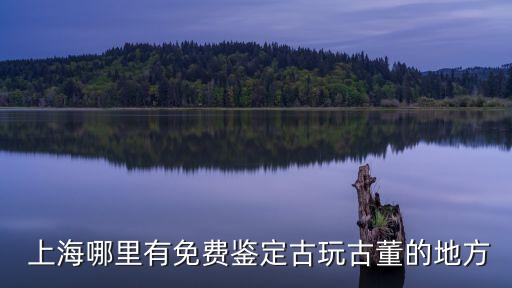  上海哪里有免費鑒定古玩古董的地方