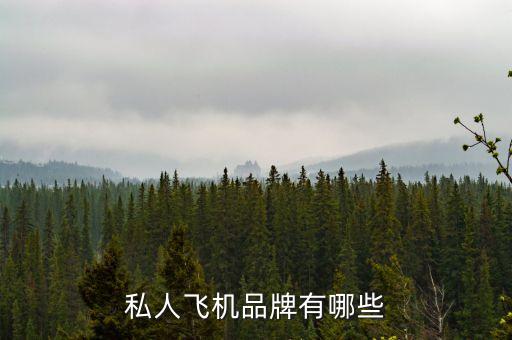 私人飛機(jī)品牌有哪些