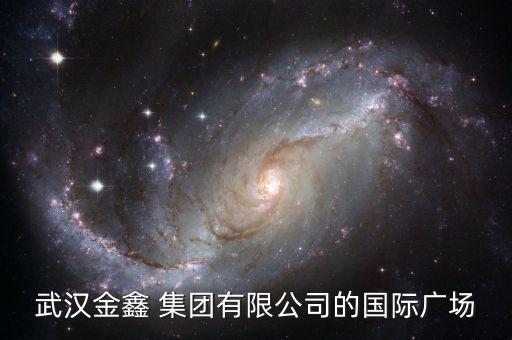 武漢金鑫 集團(tuán)有限公司的國際廣場(chǎng)