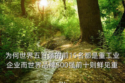 為何世界五百強(qiáng)的前15名都是重工業(yè)企業(yè)而世界品牌500強(qiáng)前十則鮮見重...