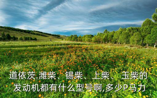 道依茨.濰柴、錫柴、上柴、 玉柴的 發(fā)動(dòng)機(jī)都有什么型號(hào)啊,多少P馬力
