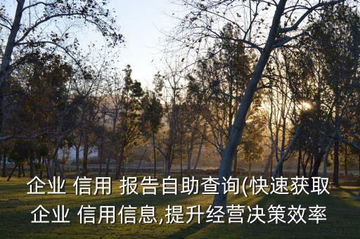 企業(yè) 信用 報(bào)告自助查詢(快速獲取企業(yè) 信用信息,提升經(jīng)營(yíng)決策效率