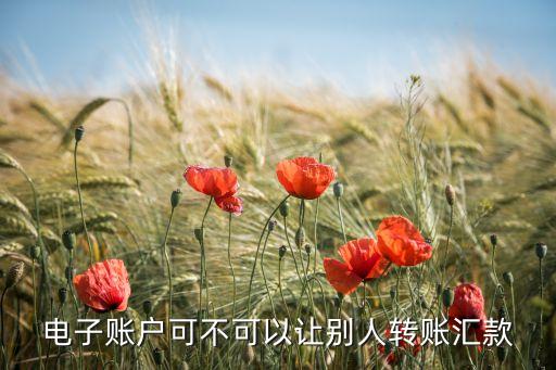 電子賬戶可不可以讓別人轉賬匯款
