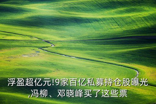 浮盈超億元!9家百億私募持倉股曝光,馮柳、鄧曉峰買了這些票