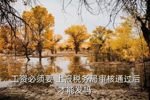  工資必須要 上報(bào)稅務(wù)局審核通過(guò)后才能發(fā)嗎