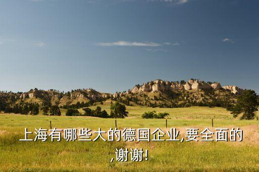  上海有哪些大的德國(guó)企業(yè),要全面的,謝謝!