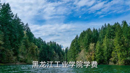 黑龍江工業(yè)學(xué)院學(xué)費(fèi)