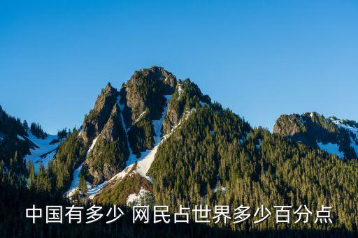 中國有多少 網民占世界多少百分點