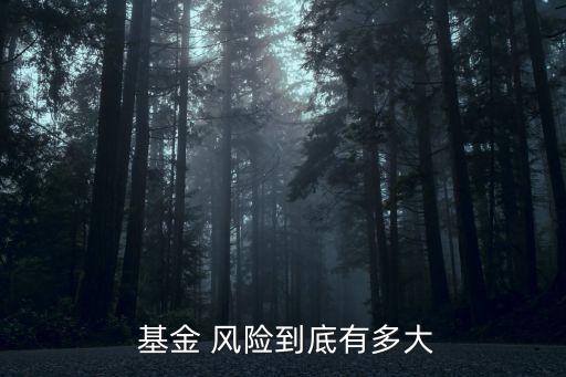  基金 風(fēng)險到底有多大
