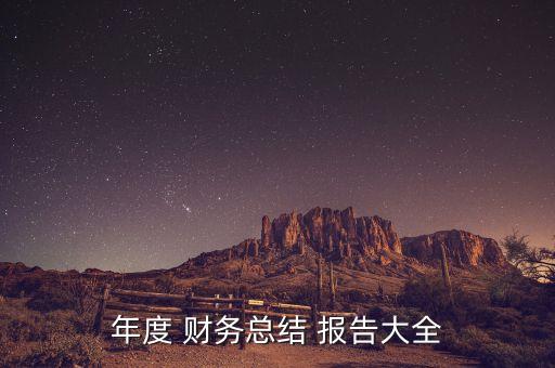年度 財務總結 報告大全