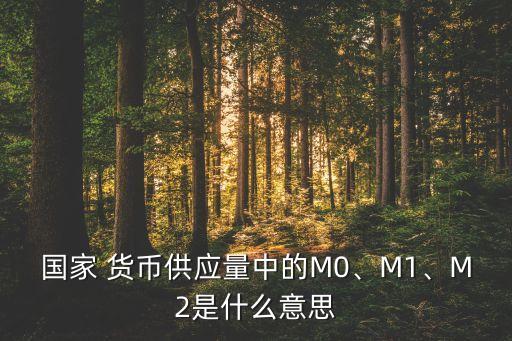 國家 貨幣供應(yīng)量中的M0、M1、M2是什么意思