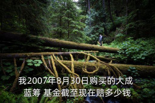 大盛藍籌基金凈值,大成藍籌基金090003凈值