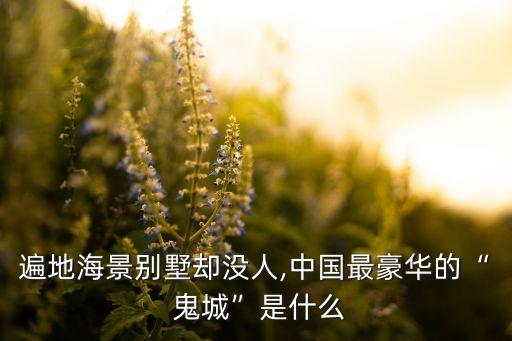 遍地海景別墅卻沒人,中國(guó)最豪華的“ 鬼城”是什么