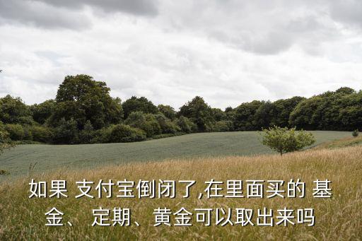 如果 支付寶倒閉了,在里面買的 基金、 定期、黃金可以取出來(lái)嗎