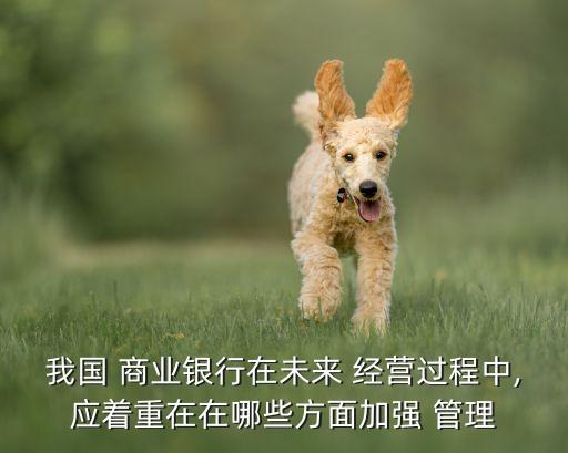 我國 商業(yè)銀行在未來 經(jīng)營過程中,應(yīng)著重在在哪些方面加強(qiáng) 管理