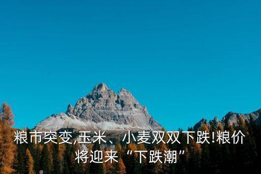 糧市突變,玉米、小麥雙雙下跌!糧價(jià)將迎來“下跌潮”