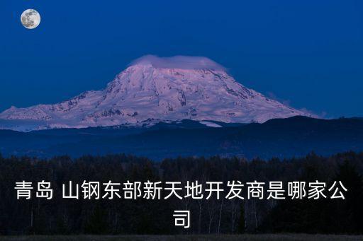 青島 山鋼東部新天地開(kāi)發(fā)商是哪家公司