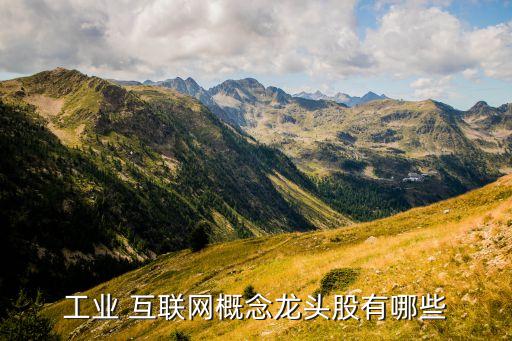 工業(yè) 互聯(lián)網概念龍頭股有哪些