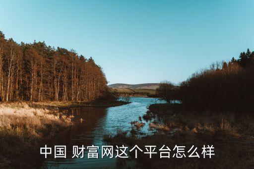 中國(guó) 財(cái)富網(wǎng)這個(gè)平臺(tái)怎么樣
